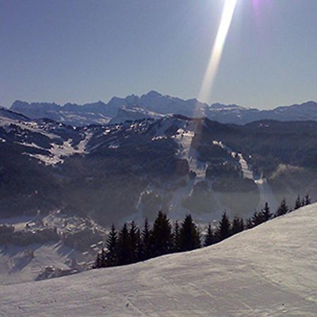 Les Gets Le Grand Paradis Dış mekan fotoğraf